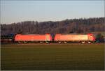 185 113 und 185 097 in Hendschiken.