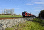 Der Schatten vieler Birken verliehen dem 423 129-6 und seinem Schwester-ET am Mittag des 02.11.17 einen  Zebra-Look .