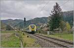 Die beiden Coradia Continental 2 1440 174 und 1440 677 sind kurz vor Kirchzarten auf dem Weg von Seebrugg nach Breisach.