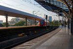 Zwei gekuppelte vierteilige ET 423 (423 796 / 426 296 und 423 757/423 257) der S-Bahn Köln (betrieben durch die DB Regio AG – NRW) verlassen am 18 Juni 2025, als Linie S 11 nach Bergisch Gladbach (Düsseldorf Flughafen – Düsseldorf Hbf – Neuss – Köln Hbf - Bergisch Gladbach) den Hauptbahnhof Köln. Hinten links die Hohenzollernbrücke, gleichdrauf folgt dann schon der Bahnhof Köln Messe/Deutz.

Es gibt Planungen die Linie S 11 bis 2032 weiter auszubauen. Hierzu sollen neben dem zweigleisigen Ausbau der Strecke von Köln-Dellbrück nach Bergisch Gladbach auch jeweils ein neuer S-Bahnsteig am Kölner Hauptbahnhof und in Köln Messe/Deutz errichtet werden. Die Hohenzollernbrücke soll nicht erweitert werden. In Köln-Kalk ist die Errichtung eines neuen Haltepunkts Köln-Kalk West (S 6, S 10, S 11, S 16, S 17) geplant. Zudem sind Verbesserungen in der Signal- und Stellwerkstechnik und bei einigen Haltepunkten vorgesehen.

Nach dem Ausbau sollen zwei weitere S-Bahn Linien die S 11 ergänzen. Die neue S 10 soll die S 11 zwischen Köln-Worringen und Bergisch Gladbach verstärken. Die S 10 wird in einem 20-Minuten-Takt fahren und zwischen Bergisch Gladbach und Köln-Worringen mit der S 11 künftig einen 10-Minuten-Takt erreichen. Die neu einzurichtende S 14 soll nur in den Hauptverkehrszeiten fahren und im Streckenabschnitt Köln-Nippes und Bergisch Gladbach verkehren. Auch sie wird drei Mal pro Stunde fahren. Somit werden mit den drei S-Bahn-Linien künftig in der Hauptverkehrszeit neun S-Bahnen pro Stunde und Richtung zwischen Köln und Bergisch Gladbach unterwegs sein anstatt der aktuell drei S-Bahnen. Die Planungen sind mit 9,5 Millionen Euro veranschlagt und die Gesamtkosten werden mit 200 Millionen Euro geschätzt.

Das Planfeststellungsverfahren (PFA) ist in vier Streckenabschnitte aufgeteilt. Am 4. April 2024 begann das offizielle Planfeststellungsverfahren (PFA) beim Eisenbahn-Bundesamt (EBA) für PFA 1.1 Abschnitt Hansaring bis Hauptbahnhof.