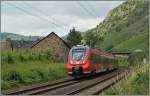 Im wunderschen Mosel-Tal fhrt ein  Hamster  bei Hatzenport Richtung Koblenz.