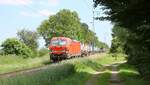DB 193 324-1, REV/MMAL/09.05.18, mit Tragwagenzug, Bü Peelsheide bei Boisheim 08.06.2024