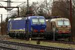 Dispo/BRLL 193 048 und TXL 7193 303 abgestellt in Padborg/DK 13.03.2026 