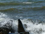(254'685) - Wellen an der Ostsee am 2.