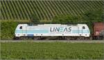 rheinstrecke/777650/die-belgische-lineas-nutzt-mit-186 Die belgische Lineas nutzt mit 186 258 ein Fahrzeug der Railpool. Am blauen Fleck unterhalb der Lineasfolie ist noch die Herkunft zu erkennen. Buggingen, Juni 2022.
