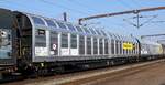 D-TWA 33 80 2743 744-5 und 781-7 Gattung Habbiins18. Pattburg 21.03.2025