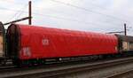 D-DB 31 80 3553 109-0 Gattung Rins655 Pattburg/DK 01.02.2025