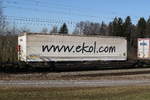 4956 023 (Sdggmrss) am 7.