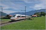 Der DB ICE 4 9019 als ICE 275 auf dem Weg von Berlin Ostbahnhof nach Interlaken Ost in Faulensee.