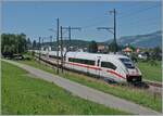 DerSB ICE 9038 ist von Interlaken Ost nach Frankfurt unterwegs und erreicht kurz nach Faulensee in Kürze den Bahnhof von Spiez.