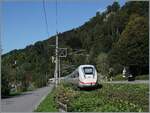 Gartenbahn - aber im Massstab von 1/1; die Bahn mag sich zurecht einen Grünen Anstrich geben, aber hier hat man es wohl etwas übertrieben: Der DB ICE 4 9217 kämpft sich zwischen Bregenz und Lochau Hörbranz durch den Jungle in Richtung Lindau Reutin.

15. September 2024