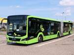 MAN Lion's City EfficientHybrid von Regionalbus Rostock in Rostock.
