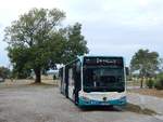 Mercedes Citaro III der Neubrandenburger Verkehrsbetriebe in Neubrandenburg.