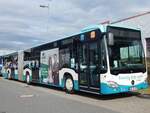 Mercedes Citaro III der Neubrandenburger Verkehrsbetriebe in Neubrandenburg.