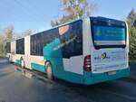 Mercedes Citaro II der Neubrandenburger Verkehrsbetriebe in Neubrandenburg.