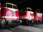 118 782-3; 114 141-1 und 219 003-1 im Sächsischen Eisenbahnmuseum Chemnitz am 18.04.2017.