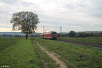 440 801/301 als RB53 58024 Würzburg - Gemünden kurz hinter Retzbach-Zellingen.
