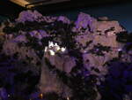 (275'229) - Im Miniatur-Wunderland am 8.