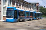Am Nachmittag des 18.05.2025 trauten sich beide Tina auf dem Gelände der Rostocker Straßenbahn AG raus. 