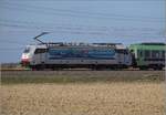 Auch eine Kombination: Eine Lok der BLS Cargo mit Werbung des Konkurrenten SBB, immatrikuliert und ein Produkt aus Kassel...