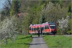 730-badische-hauptbahn-hochrheinstrecke/654339/644-049-wird-von-den-autozugfotografen 644 049 wird von den Autozugfotografen noch ins Visir genommen. Beuggen, April 2019.