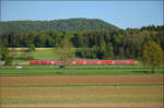 Ade Dieselloch - Nach 113 Jahren...

245 036 bei Rechberg. April 2026.