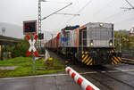 Auch bei Regen fahren Züge, so ging ich auch nochmal an die Strecke. Die KSW 42 bzw. 277 902-3 (92 80 1277 902-3 D-KSW) der KSW (Kreisbahn Siegen-Wittgenstein), fährt am 06 Oktober 2025, mit einem Coilzug durch Niederschelden/Niederschelderhütte in Richtung Betzdorf/Sieg. Man kann es an dem Schild an der B62 oben links erkennen, der Zug überquert die Sieg und passiert somit die Landesgrenze zwischen NRW und Rheinland Pfalz.
In Betzdorf setzt die Lok dann um und bringt dann den Coilzug, über die KBS 462 „Hellertalbahn“, nach Herdorf auf den KSW Rangierbahnhof Herdorf (Freien Grunder Eisenbahn KSW NE447 / DB-Nr. 9275).  Auch bei Regen fahren Züge, so ging ich auch nochmal an die Strecke. Die KSW 42 bzw. 277 902-3 (92 80 1277 902-3 D-KSW) der KSW (Kreisbahn Siegen-Wittgenstein), fährt am 06 Oktober 2025, mit einem Coilzug durch Niederschelden/Niederschelderhütte in Richtung Betzdorf/Sieg. Man kann es an dem Schild an der B62 oben links erkennen, der Zug überquert die Sieg und passiert somit die Landesgrenze zwischen NRW und Rheinland Pfalz.
In Betzdorf setzt die Lok dann um und bringt dann den Coilzug, über die KBS 462 „Hellertalbahn“, nach Herdorf auf den KSW Rangierbahnhof Herdorf (Freien Grunder Eisenbahn KSW NE447 / DB-Nr. 9275).