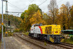 Welch seltener Gast auf der Siegstecke, auch wenn Triebzüge und -wagen der HLB hier Alltag sind, ist die Güterlok der HLB meist in und um Kassel unterwegs. Die Diesellokomotive 275 024-8, alias DG 1131 (92 80 1275 024-8 D-HEB), die Vossloh/MaK G 1206 der HLB - Hessische Landesbahn GmbH, hat am 16 Oktober 2025, auf den Weg in Richtung Köln, im Bahnhof Kirchen/Sieg Hp 0, da es eine Weichenstörung gab. Nun fährt sie weiter in Richtung Betzdorf bzw. Köln.
Die MaK G 1206 wurde 2001 von der VSFT - Vossloh Schienenfahrzeugtechnik GmbH in Kiel-Friedrichsort unter der Fabriknummer 1001131 gebaut und an die LC - Locomotion Capital Ltd. (London) als Mietlok geliefert. 
Lebenslauf/Stationen und Bezeichnungen:
•	Dezember 2001 - Vermietung an NE - Städtische Hafenbetriebe Neuss
•	Januar 2002 - Vermietung an StEK - Städtische Eisenbahn Krefeld 
•	Januar 2002 - Vermietung an Niederrheinische Verkehrsbetriebe AG (NIAG) 
•	Januar/Februar 2002 - Vermietung an OHE- Osthavelländische Eisenbahn AG 
•	Februar 2002 bis August 2003 - Vermietung an IL - InfraLeuna Infrastruktur- und Service GmbH, als IL 206
•	April 2003 - Verkauf an ATC - Angel Trains Cargo SA, Antwerpen (B)
•	August 2003 bis - Vermietung an RBH - RAG Bahn und Hafen GmbH als  RBH 841  
•	April bis Juni 2005 - Vermietung an MEG - Mitteldeutsche Eisenbahn GmbH  MEG 298  
•	November 2005 bis Oktober 2006 - Vermietung an MVG - Mülheimer Verkehrsgesellschaft mbH, Mülheim (Ruhr)  2  
•	November 2006 bis 2013 Vermietung an CFL - Société Nationale des Chemins de Fer Luxembourgeois bzw. CFL Cargo als 1504. Ab 2007 dann NVR-Nummer 92 82 0001 504-0 L-CFLCA. Zum 01.01.2010 aus der ATC wird die Alpha Trains Belgium NV/SA. 
•	Juni 2013 bis Dezember 2014 - Vermietung an HLB - Hessische Landesbahn GmbH  
•	31.12.2014 - Verkauf an die HLB - Hessische Landesbahn GmbH, Betreiber Bezeichnung  DG 1131 , vergabe der NVR-Nummer 92 80 1275 024-8 D-HEB. Auffällig ist das sie, trotz der längeren Einsatzdauer in Luxemburg, heute nur die UIC-Zulassung für Deutschland (D) hat. 
Die MaK G 1206 ist im schweren Rangier- und Streckendienst einsetzbar. Sie wurde 1997 zum ersten Mal gebaut und ist nach Deutschland, Österreich, der Schweiz, Luxemburg, Italien, Spanien, den Niederlanden und nach Frankreich verkauft worden. Allein 23 Lokomotiven fahren als BB 61000 bei der SNCF, davon sechs mit MTU-Motor (Die G 1206 gibt es wahlweise mit Caterpillar- oder MTU-Motor). Diese Lok hat einen Caterpillar 12 Zylinder 4-Takt Dieselmotor mit Abgasturbolader und Ladeluftkühlung vom Typ 3512B DI TA-SC mit einer Leistung von 1.500 kW bei1.800 U/min. Das Strömungsgetriebe ist ein Voith L 5r4 zU2.
 Welch seltener Gast auf der Siegstecke, auch wenn Triebzüge und -wagen der HLB hier Alltag sind, ist die Güterlok der HLB meist in und um Kassel unterwegs. Die Diesellokomotive 275 024-8, alias DG 1131 (92 80 1275 024-8 D-HEB), die Vossloh/MaK G 1206 der HLB - Hessische Landesbahn GmbH, hat am 16 Oktober 2025, auf den Weg in Richtung Köln, im Bahnhof Kirchen/Sieg Hp 0, da es eine Weichenstörung gab. Nun fährt sie weiter in Richtung Betzdorf bzw. Köln.
Die MaK G 1206 wurde 2001 von der VSFT - Vossloh Schienenfahrzeugtechnik GmbH in Kiel-Friedrichsort unter der Fabriknummer 1001131 gebaut und an die LC - Locomotion Capital Ltd. (London) als Mietlok geliefert. 
Lebenslauf/Stationen und Bezeichnungen:
•	Dezember 2001 - Vermietung an NE - Städtische Hafenbetriebe Neuss
•	Januar 2002 - Vermietung an StEK - Städtische Eisenbahn Krefeld 
•	Januar 2002 - Vermietung an Niederrheinische Verkehrsbetriebe AG (NIAG) 
•	Januar/Februar 2002 - Vermietung an OHE- Osthavelländische Eisenbahn AG 
•	Februar 2002 bis August 2003 - Vermietung an IL - InfraLeuna Infrastruktur- und Service GmbH, als IL 206
•	April 2003 - Verkauf an ATC - Angel Trains Cargo SA, Antwerpen (B)
•	August 2003 bis - Vermietung an RBH - RAG Bahn und Hafen GmbH als  RBH 841  
•	April bis Juni 2005 - Vermietung an MEG - Mitteldeutsche Eisenbahn GmbH  MEG 298  
•	November 2005 bis Oktober 2006 - Vermietung an MVG - Mülheimer Verkehrsgesellschaft mbH, Mülheim (Ruhr)  2  
•	November 2006 bis 2013 Vermietung an CFL - Société Nationale des Chemins de Fer Luxembourgeois bzw. CFL Cargo als 1504. Ab 2007 dann NVR-Nummer 92 82 0001 504-0 L-CFLCA. Zum 01.01.2010 aus der ATC wird die Alpha Trains Belgium NV/SA. 
•	Juni 2013 bis Dezember 2014 - Vermietung an HLB - Hessische Landesbahn GmbH  
•	31.12.2014 - Verkauf an die HLB - Hessische Landesbahn GmbH, Betreiber Bezeichnung  DG 1131 , vergabe der NVR-Nummer 92 80 1275 024-8 D-HEB. Auffällig ist das sie, trotz der längeren Einsatzdauer in Luxemburg, heute nur die UIC-Zulassung für Deutschland (D) hat. 
Die MaK G 1206 ist im schweren Rangier- und Streckendienst einsetzbar. Sie wurde 1997 zum ersten Mal gebaut und ist nach Deutschland, Österreich, der Schweiz, Luxemburg, Italien, Spanien, den Niederlanden und nach Frankreich verkauft worden. Allein 23 Lokomotiven fahren als BB 61000 bei der SNCF, davon sechs mit MTU-Motor (Die G 1206 gibt es wahlweise mit Caterpillar- oder MTU-Motor). Diese Lok hat einen Caterpillar 12 Zylinder 4-Takt Dieselmotor mit Abgasturbolader und Ladeluftkühlung vom Typ 3512B DI TA-SC mit einer Leistung von 1.500 kW bei1.800 U/min. Das Strömungsgetriebe ist ein Voith L 5r4 zU2.