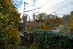 Blick und Durchblick auf/durch den 32 m lange Mühlburg-Tunnel bei km 74,4 der Siegstrecke (KBS 460) in Scheuerfeld/Sieg am 18 Oktober 2025. Davor die Brücke über die Sieg, bei der alten Papierfabrik ganz rechts, hier ist auch ein Siegwehr mit Wasserkraftwerk. Da die Sieg hier auch eine Schleife macht ist kurz hinter dem Tunnel wieder eine Brücke über die Sieg.
Die Siegstrecke ist eine rund 100 Kilometer lange, überwiegend zweigleisige, elektrifizierte Hauptbahn von Köln nach Siegen in Deutschland. Zwischen Blankenberg und Merten sowie zwischen Schladern und Rosbach wurde sie nach dem Zweiten Weltkrieg nur eingleisig wiederaufgebaut. Beide Endbahnhöfe liegen im Bundesland Nordrhein-Westfalen, rund 28 Kilometer verlaufen in Rheinland-Pfalz. Die Strecke führt ab dem Bahnhof Köln Messe/Deutz über Porz (Rhein), Troisdorf, Siegburg, Hennef (Sieg), Au (Sieg) und Betzdorf (Sieg) nach Siegen Hbf. Die Siegstrecke wurde ursprünglich als Teil der Deutz-Gießener Eisenbahn errichtet und ging nicht über Siegen, sondern verlief von Betzdorf (Sieg) weiter über Herdorf, Haiger und Dillenburg bis Gießen.  Blick und Durchblick auf/durch den 32 m lange Mühlburg-Tunnel bei km 74,4 der Siegstrecke (KBS 460) in Scheuerfeld/Sieg am 18 Oktober 2025. Davor die Brücke über die Sieg, bei der alten Papierfabrik ganz rechts, hier ist auch ein Siegwehr mit Wasserkraftwerk. Da die Sieg hier auch eine Schleife macht ist kurz hinter dem Tunnel wieder eine Brücke über die Sieg.
Die Siegstrecke ist eine rund 100 Kilometer lange, überwiegend zweigleisige, elektrifizierte Hauptbahn von Köln nach Siegen in Deutschland. Zwischen Blankenberg und Merten sowie zwischen Schladern und Rosbach wurde sie nach dem Zweiten Weltkrieg nur eingleisig wiederaufgebaut. Beide Endbahnhöfe liegen im Bundesland Nordrhein-Westfalen, rund 28 Kilometer verlaufen in Rheinland-Pfalz. Die Strecke führt ab dem Bahnhof Köln Messe/Deutz über Porz (Rhein), Troisdorf, Siegburg, Hennef (Sieg), Au (Sieg) und Betzdorf (Sieg) nach Siegen Hbf. Die Siegstrecke wurde ursprünglich als Teil der Deutz-Gießener Eisenbahn errichtet und ging nicht über Siegen, sondern verlief von Betzdorf (Sieg) weiter über Herdorf, Haiger und Dillenburg bis Gießen.