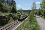 Die  Dreiseenbahn  im Schwarzwald ist weitherum bekannt; doch welche drei See sind da gemeint? Titisee und Schluchsee fallen raschen ein doch der dritte See...