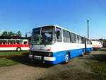 Ikaurs 280 im BusShuttle Verkehr zwischen dem Bahnhof Weimar und dem Eisenbahnmuseum Weimar whrend des Sommerfestes am 4.8.18