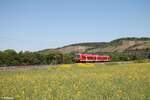 440 317 als RB53 RB 58029 Gemnden - Wrzburg bei Himmelstadt.