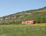 Ein Unbekannter 440 als RB53 bei Thüngersheim. 02.06.21