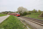 442 250 als S1 39151 Erlangen - Neumarkt/Oberpfalz bei Pölling.