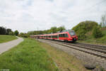 Nachschuss auf 442 234-1 als S1 S39158 bei Pölling.