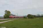 442 235 als S1 S39168 Neumarkt/Oberpfalz - Bamberg bei Pölling.