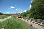 442 743 als S1 39143 Bamberg - Neumarkt/Oberpfalz bei Pölling.