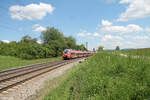 442 223 als S1 39160 Neumarkt/Oberpfalz - Erlangen.