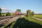 442 743 als S1 39192 Neumarkt/Oberpfalz - Bamberg bei Pölling.