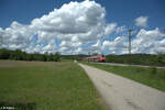 442 265 als S1 Neumarkt/Oberpfalz bei Plling. 20.05.24