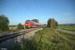 443 606 zieht als S1 39192 Neumarkt/Oberpfalz - Bamberg bei Pölling. 28.08.24