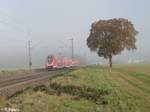 445 050-8 als RE 55 RE 4647 Frankfurt/Main - Bamberg kurz vor Retzbach-Zelling.13.10.18