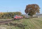 445 043-3 als RE 55 RE4611 Frankfurt/Main - Würzburg kurz vor Retzbach-Zellingen.