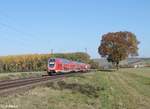 445 043-3 als RE 55 RE4611 Frankfurt/Main - Würzburg kurz vor Retzbach-Zellingen.