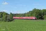 610er Doppel als RE 3697 Hof - Regensburg bei Oberteich.