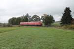 612 597 als RE 5284 Cheb - Nürnberg bei Waldershof.