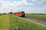 642 614 als Leerfahrt kurz vor Uffenheim nach Ansbach. 04.06.24