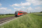 Nachschuss auf 642 114 als Leerfahrt kurz vor Uffenheim. 04.06.24