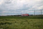 648 315-9 als Leerreise bei Uffenheim in Richtung Süden. 27.05.24 648 315-9 als Leerreise bei Uffenheim in Richtung Süden. 27.05.24