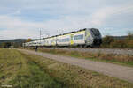 1463 212-9 + 1463 211-1 als RE50 63069 Nürnberg nach Plattling bei Pölling.